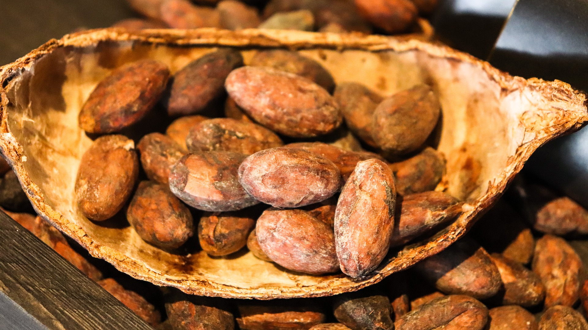 cacao-3995994_1920